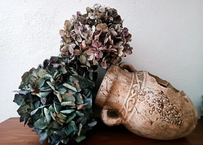 Casa Choureiro Rurales *