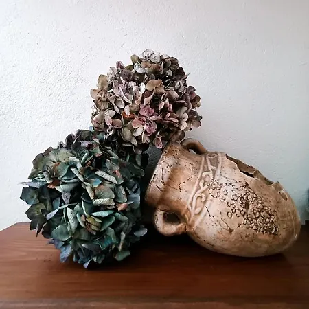 Casa Choureiro Rurales *